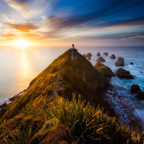 Cape Reinga 800x800